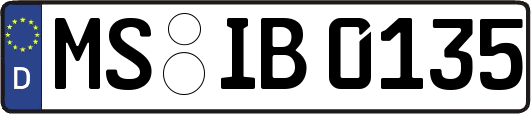 MS-IB0135