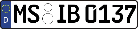 MS-IB0137