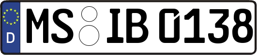 MS-IB0138