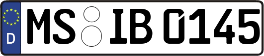 MS-IB0145