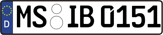 MS-IB0151