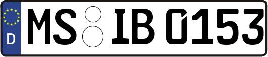 MS-IB0153