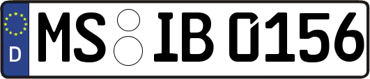 MS-IB0156