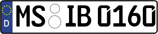 MS-IB0160