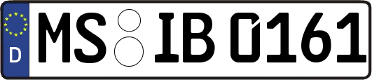 MS-IB0161