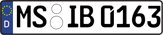 MS-IB0163