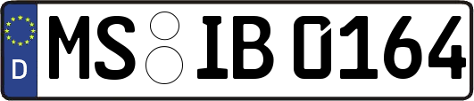 MS-IB0164