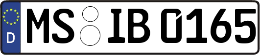 MS-IB0165
