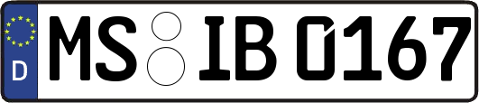 MS-IB0167