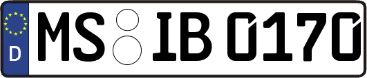 MS-IB0170