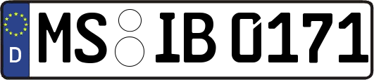 MS-IB0171