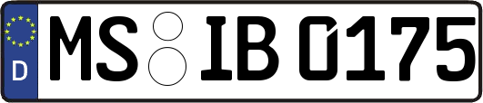 MS-IB0175