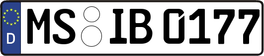 MS-IB0177