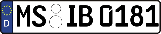 MS-IB0181