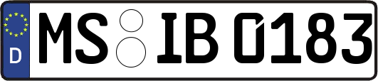 MS-IB0183