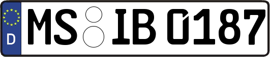 MS-IB0187