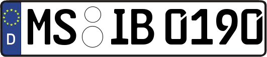 MS-IB0190