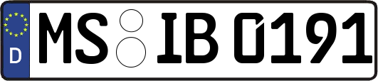 MS-IB0191