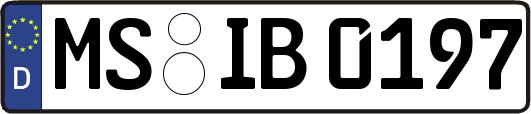 MS-IB0197
