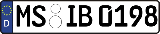 MS-IB0198