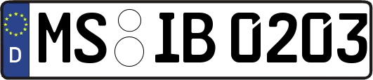 MS-IB0203
