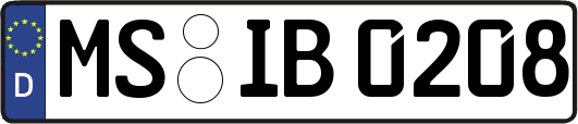 MS-IB0208
