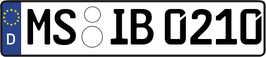 MS-IB0210