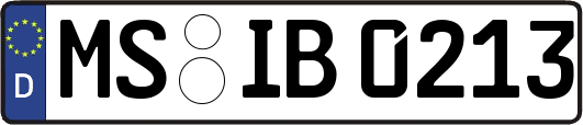 MS-IB0213