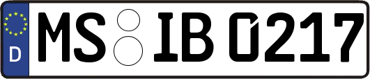 MS-IB0217