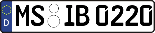 MS-IB0220