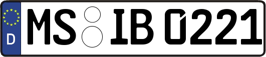 MS-IB0221