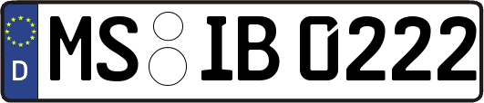 MS-IB0222