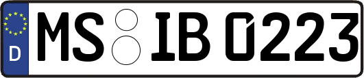 MS-IB0223