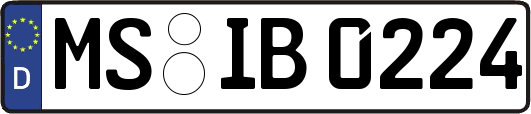 MS-IB0224