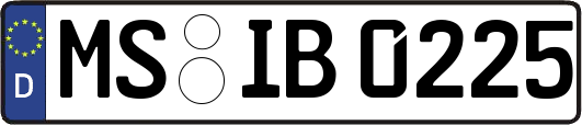 MS-IB0225