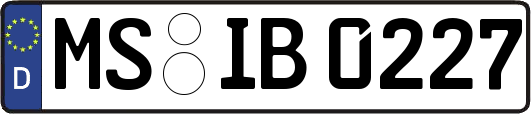 MS-IB0227