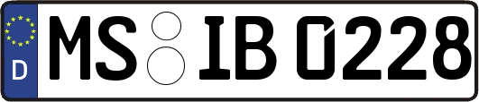 MS-IB0228