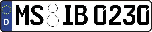 MS-IB0230