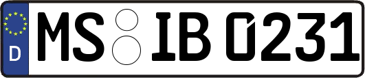 MS-IB0231