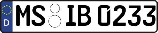 MS-IB0233