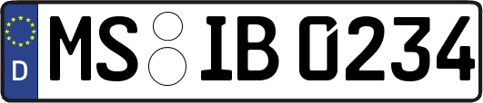 MS-IB0234
