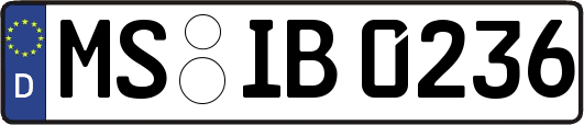 MS-IB0236