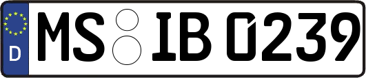 MS-IB0239