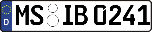 MS-IB0241