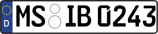 MS-IB0243