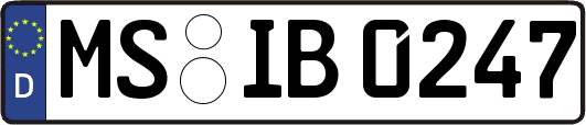 MS-IB0247