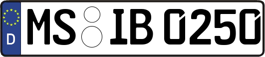 MS-IB0250