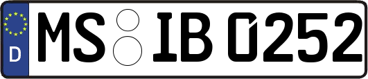 MS-IB0252