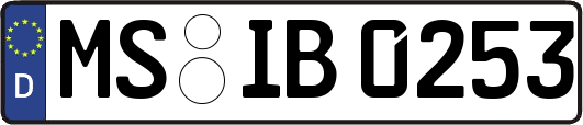 MS-IB0253