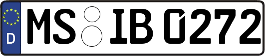 MS-IB0272